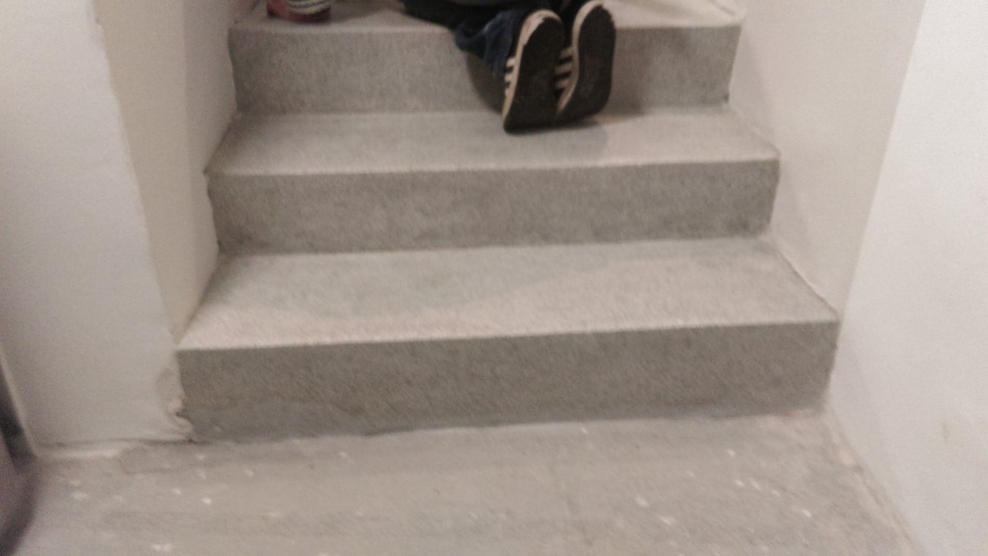 dokoncenipredimpregnaci